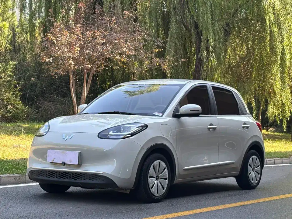 Wuling Motors Wuling Bingo 333km Joyful Version 2024