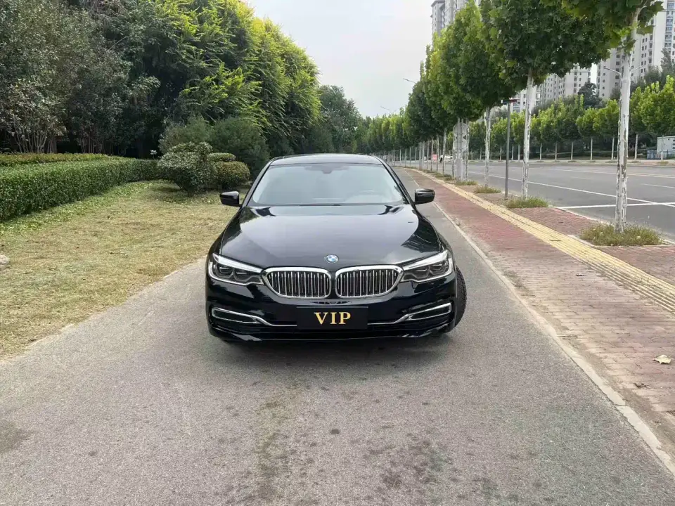 BMW 5 Series 530Li xDrive Luxury Package 2020