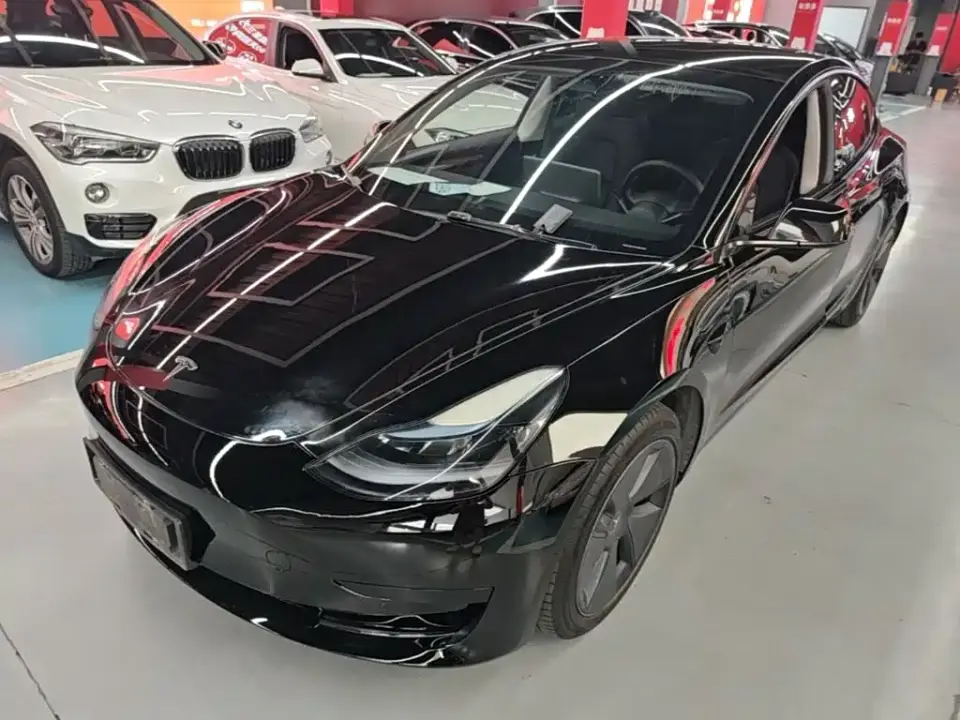 Tesla Model 3 Standard Range Rear-Wheel Drive Upgrade 3D6 2022