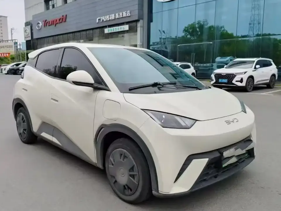 BYD Seagull Glory Edition 305km Vitality Edition 2024
