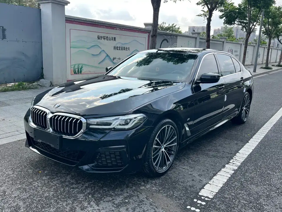 BMW 5 Series 530Li Leading M Sport Package 2021
