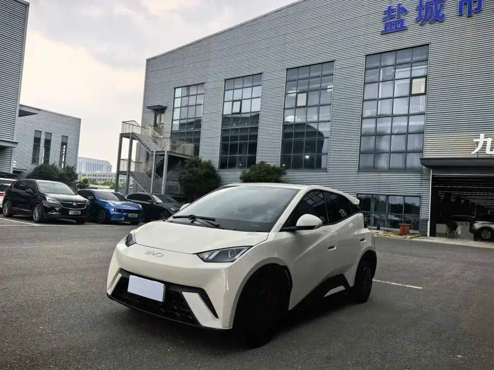 BYD Seagull Glory Edition 305km Vitality Edition 2024