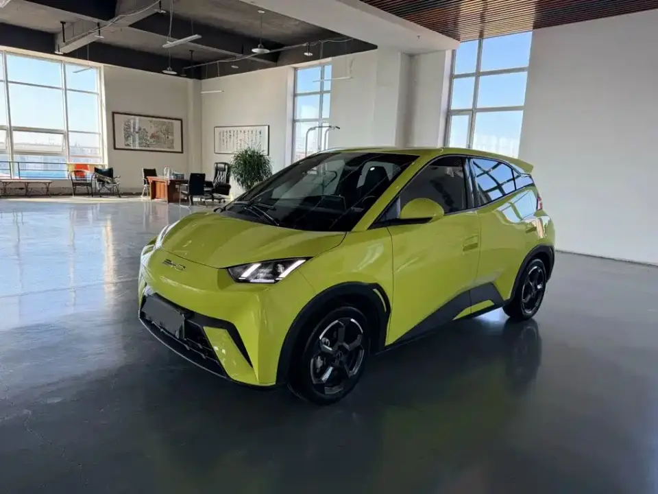 BYD Seagull Freedom Edition 2024