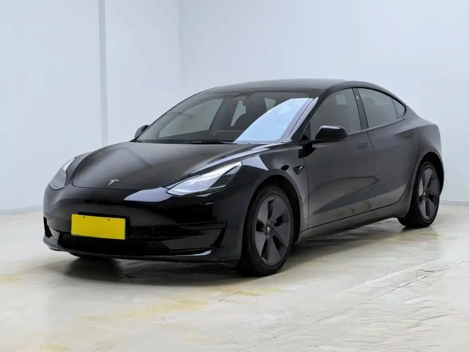 Tesla Model 3 Model Rear-Wheel Drive Version 2022