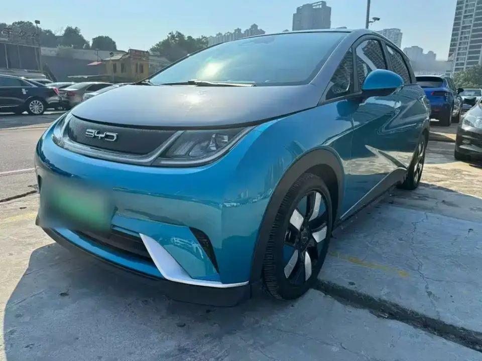 BYD Dolphin 401km Knight Edition 2022