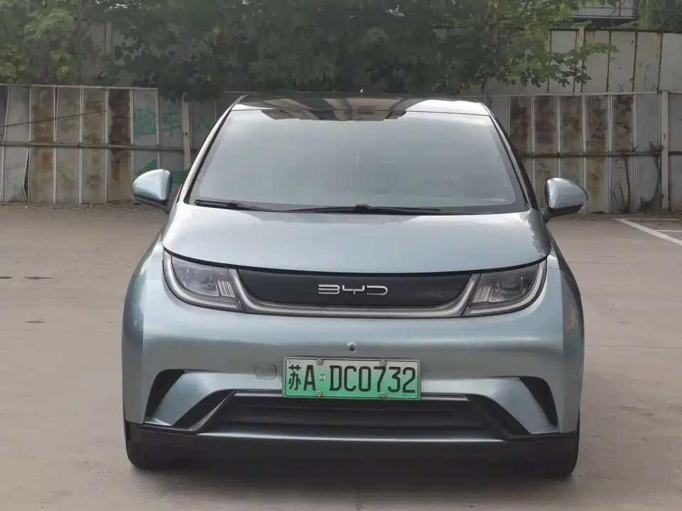 BYD Dolphin 405km Freedom Edition 2021