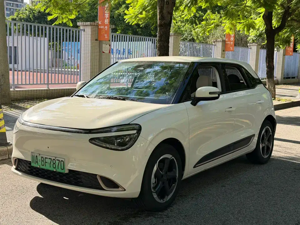 Dongfeng Yipai Nano 01 430 Max Smart+ 2024