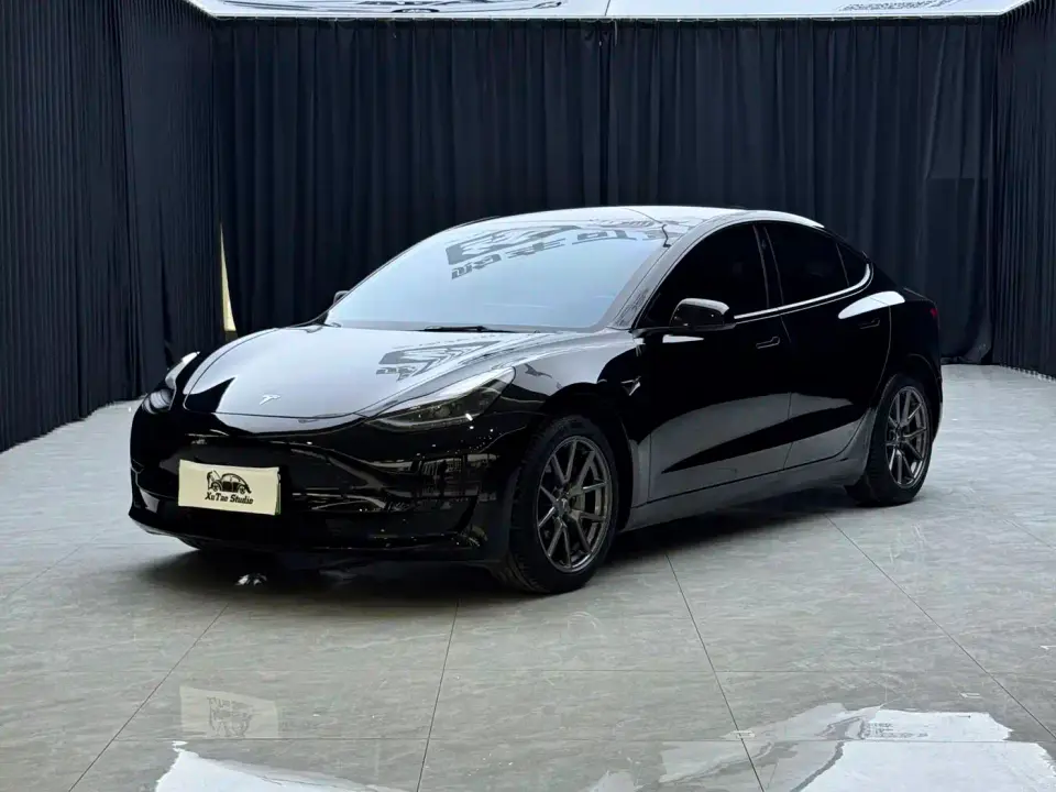 Tesla Model 3 Standard Range Rear-Wheel Drive Upgrade 3D6 2021
