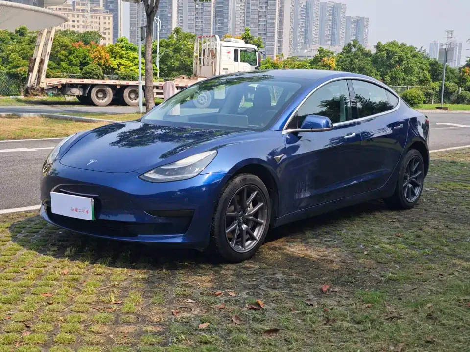Tesla Model 3 (Import) Standard Range RWD Upgraded Edition 2020
