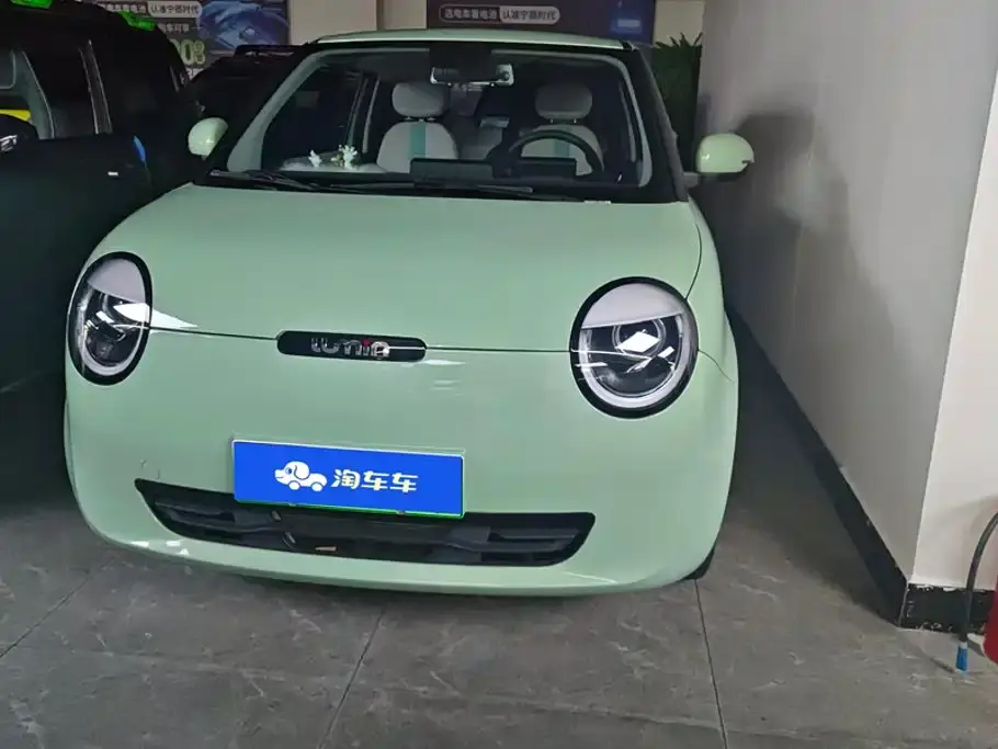 Changan Qiyuan Changan Lumin Model 205km Fragrant Edition 2024
