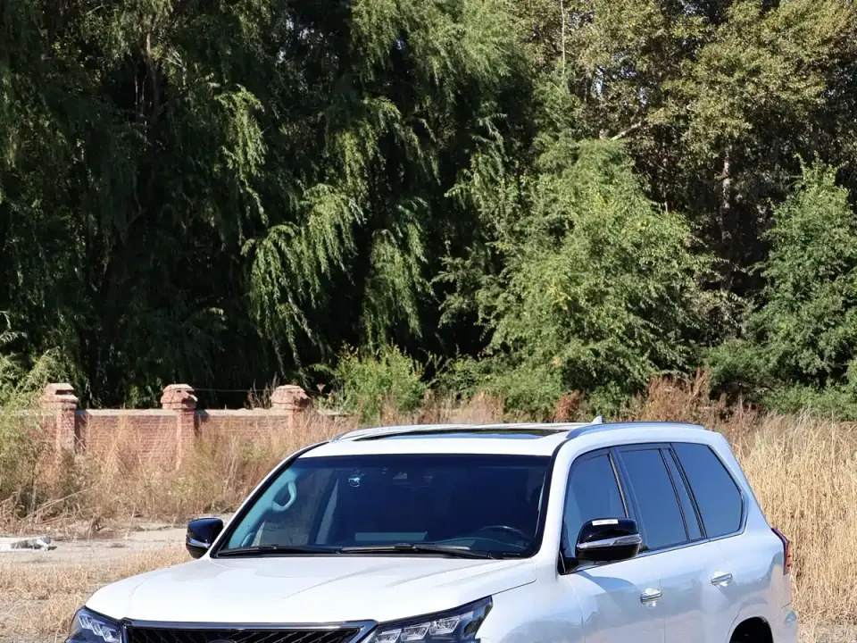 Lexus LX 570 Peak Special Edition 2019