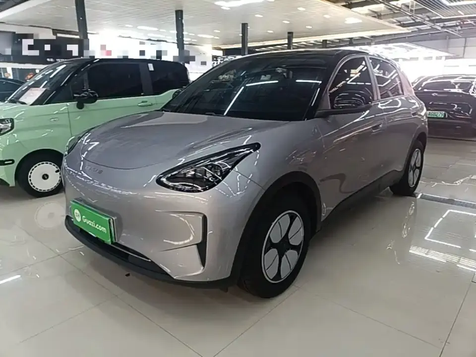 Geely Galaxy Starry Wish Edition 310km Youth Version 2025