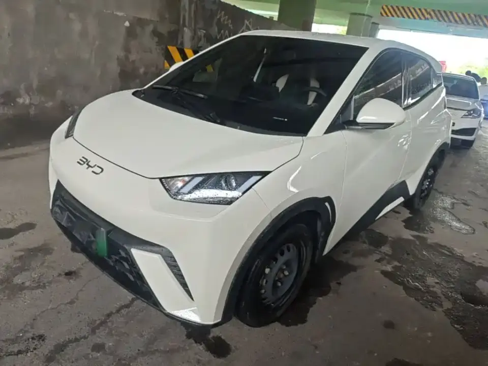 BYD Seagull Glory Edition 305km Vitality Edition 2024