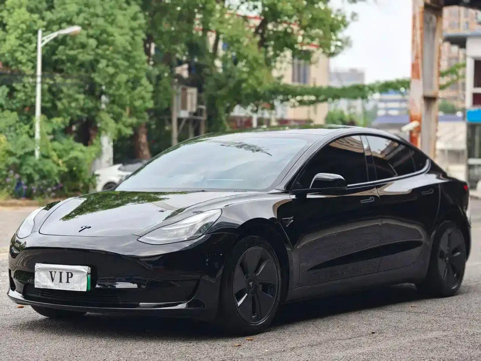 Tesla Model 3 Model Rear-Wheel Drive Version 2022