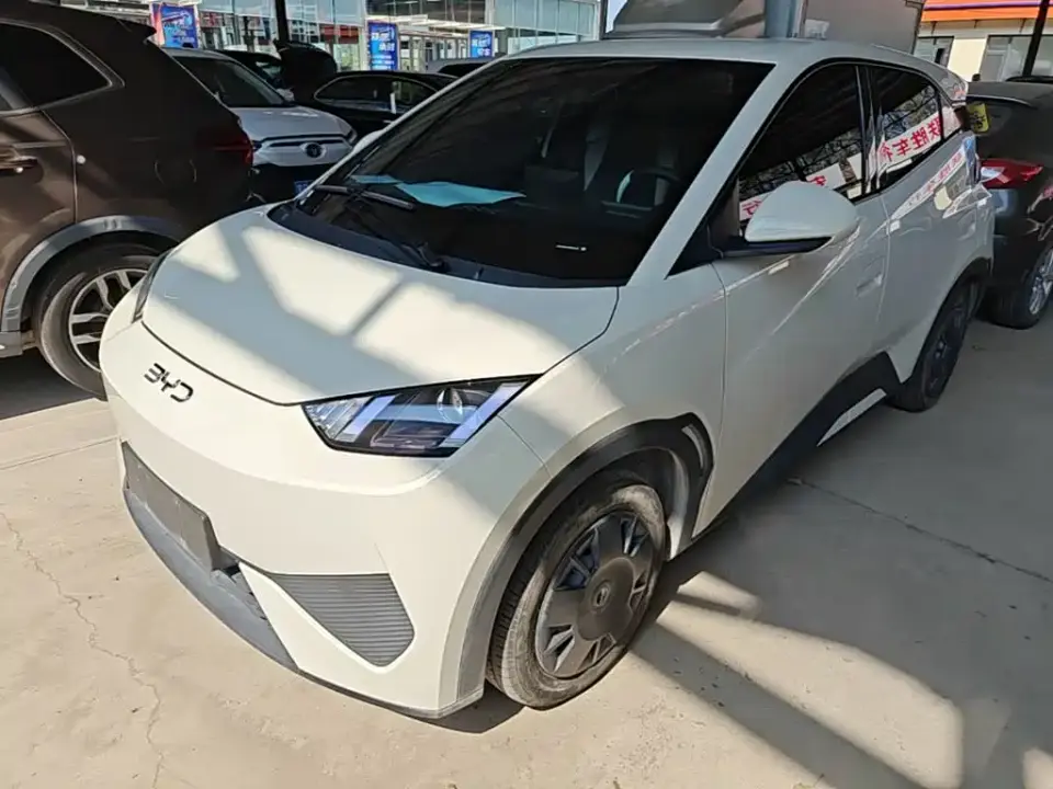 BYD Seagull Smart Drive Edition 305km Vitality Version 2025