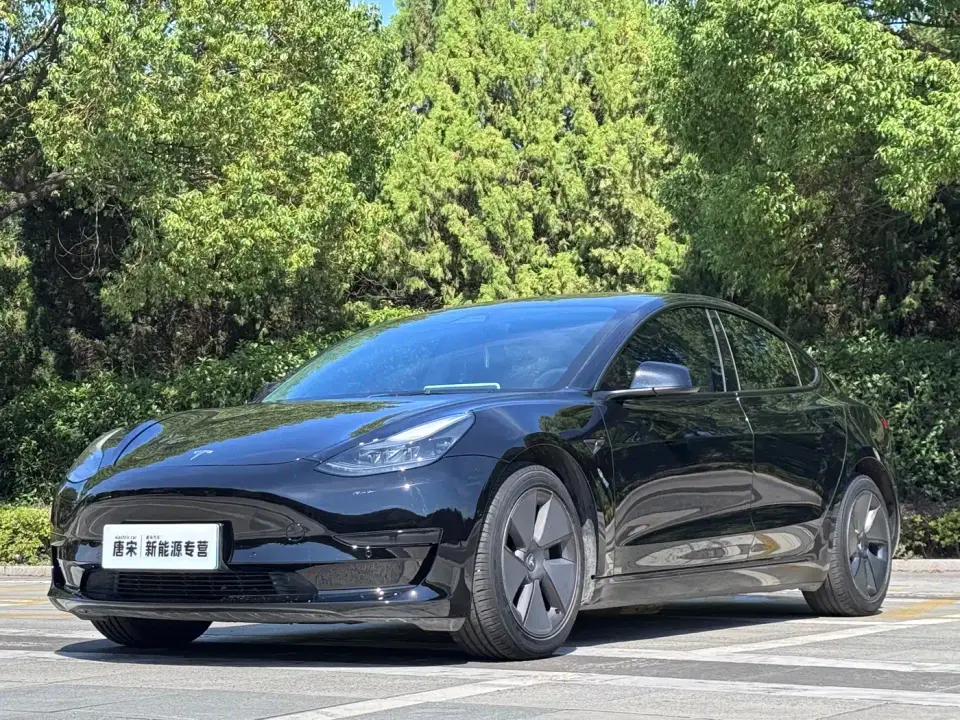 Tesla Model 3 Standard Range Rear-Wheel Drive Upgrade 3D6 2022