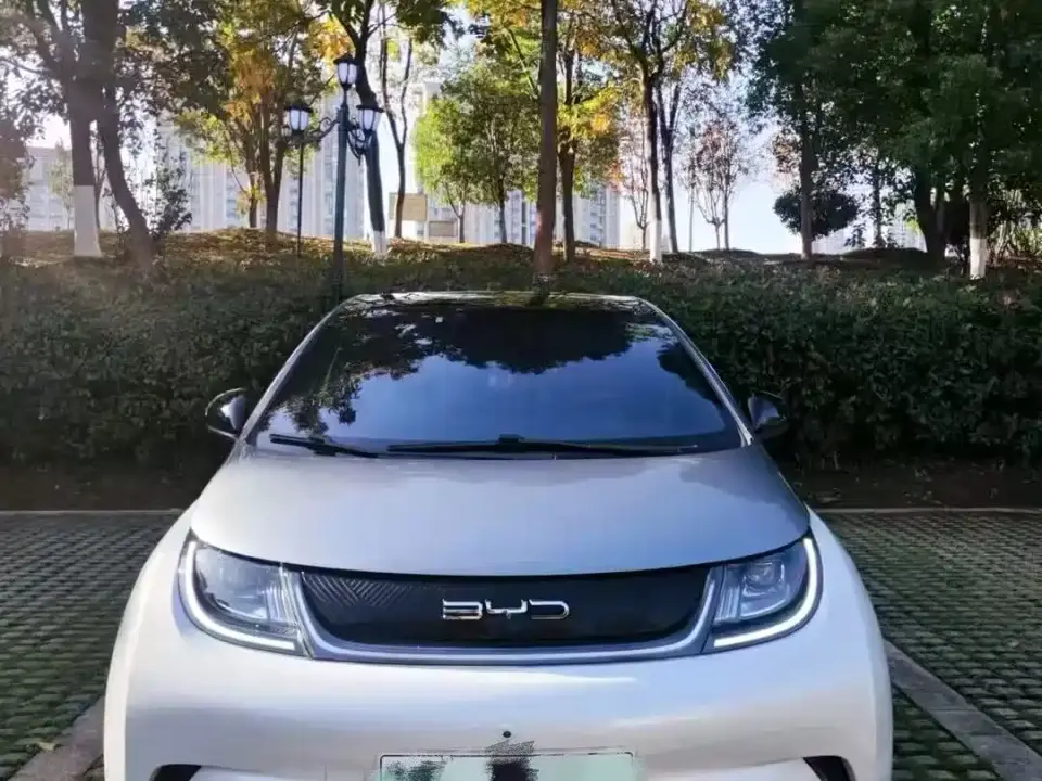 BYD Dolphin 405km Freedom Edition 2021