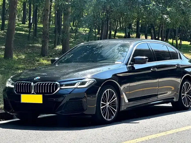 BMW 5 Series 530Li xDrive M Sport Package 2022