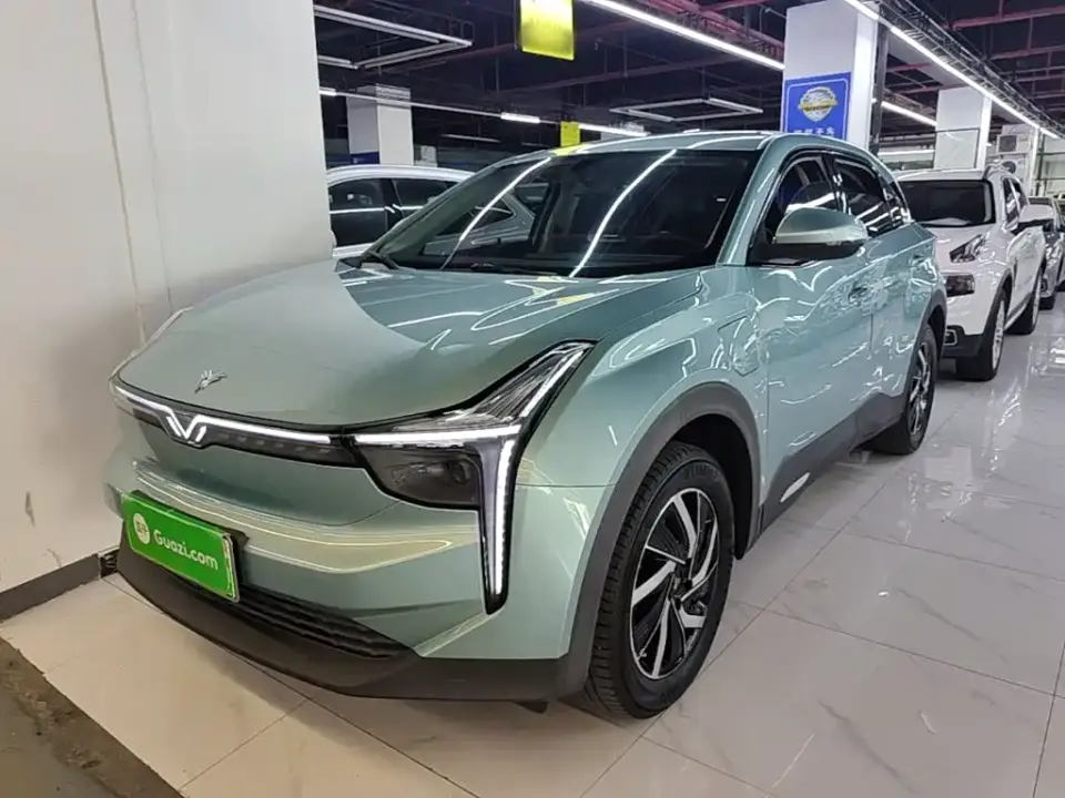 Neta U Pro 400 Cruise Edition 2021