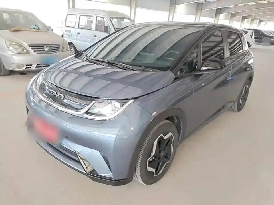 BYD Dolphin 420km Vitality Edition 2024