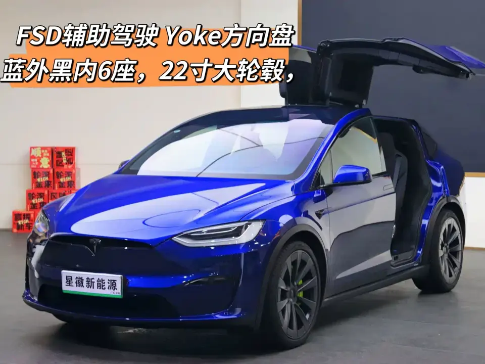 Tesla Model X Dual Motor All-Wheel Drive Edition 2023