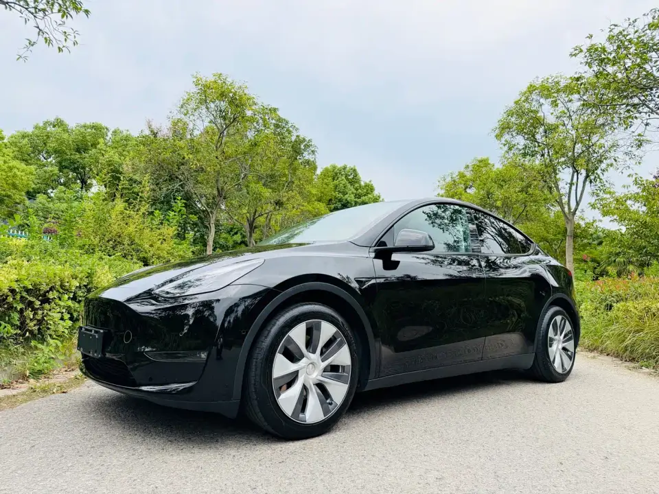 Tesla Model Y Standard Range Rear-Wheel Drive 2021