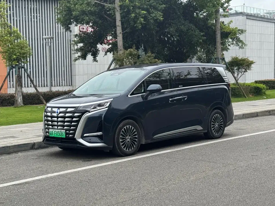 Denza D9 DM-i 980 AWD Flagship 2024