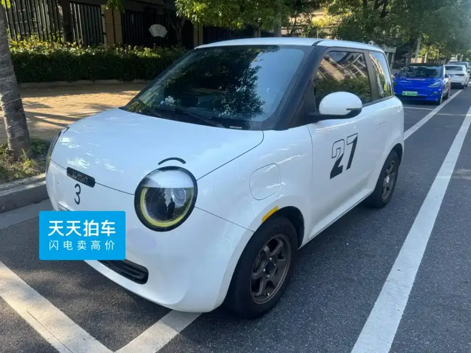 Changan Qiyuan Changan Lumin Model 205km Fragrant Edition 2024