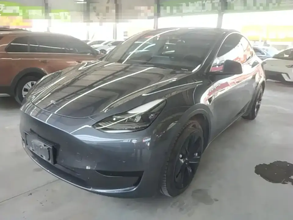 Tesla Model Y Rear-Wheel Drive Version 2022