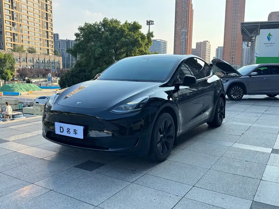 Tesla Model Y Rear-Wheel Drive Edition 2024