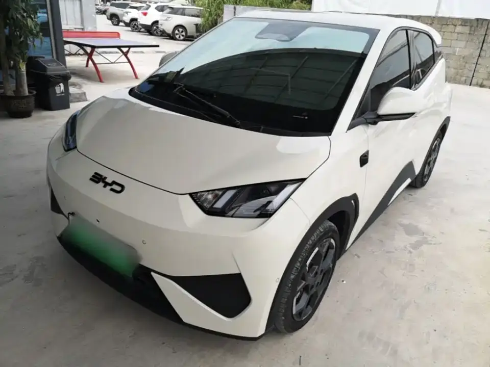 BYD Seagull Smart Drive Edition 305km Freedom Version 2025