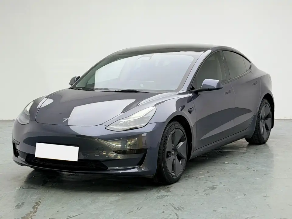 Tesla Model 3 Model Rear-Wheel Drive Version 2022