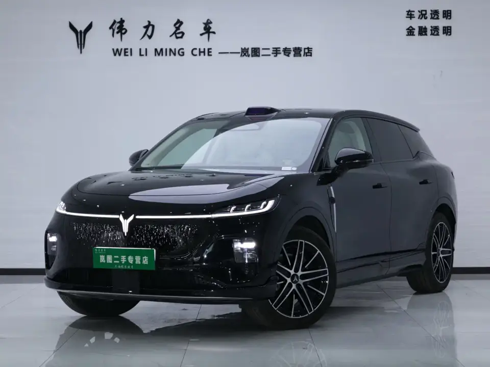 Voyah Auto Voyah Zhiyin Base 2025