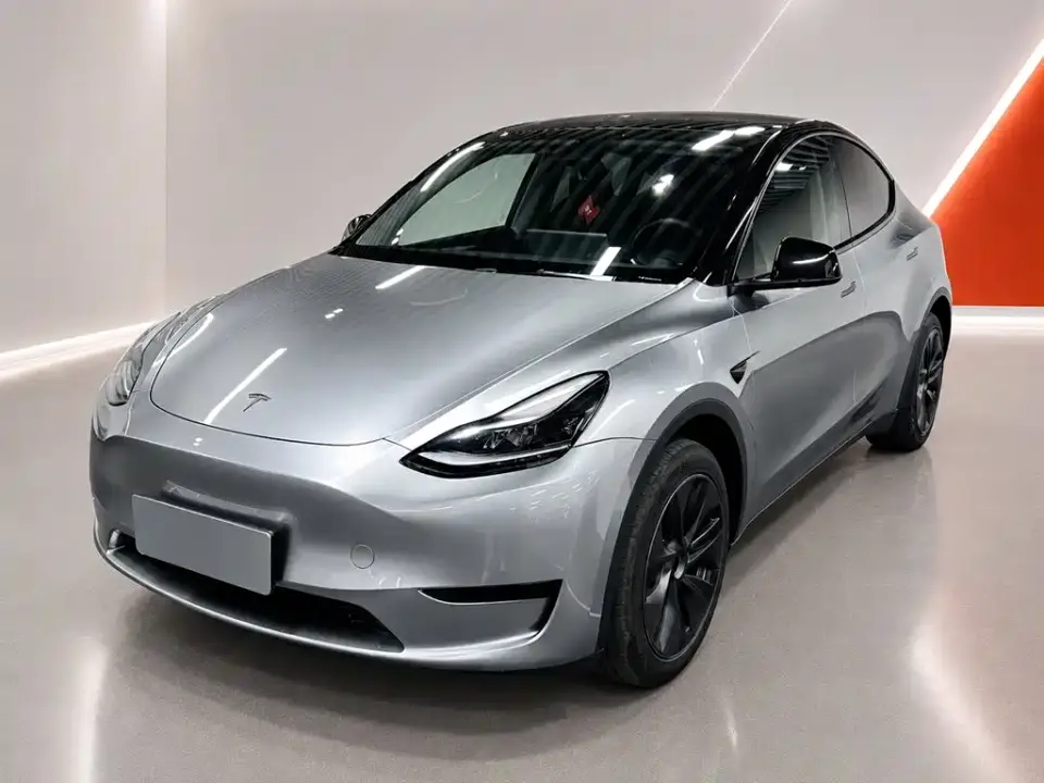 Tesla Model Y Rear-Wheel Drive Version 2024