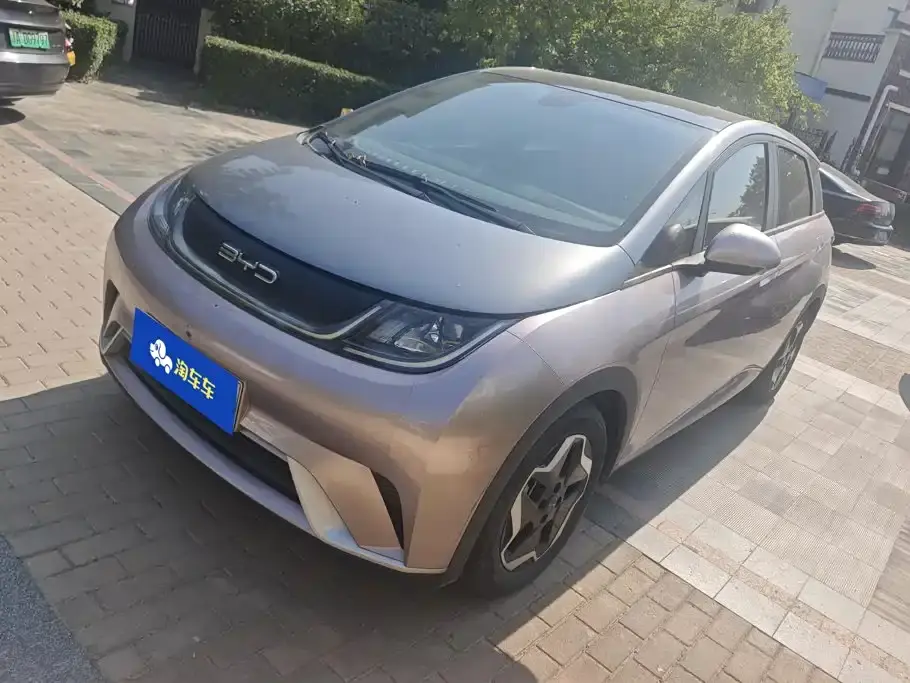 BYD Dolphin Model 405km Fashion Edition 2022