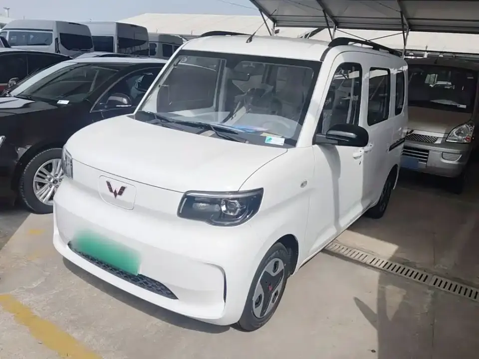 Wuling Motors Wuling Zhiguang NEV Model 305km Base Version 2026