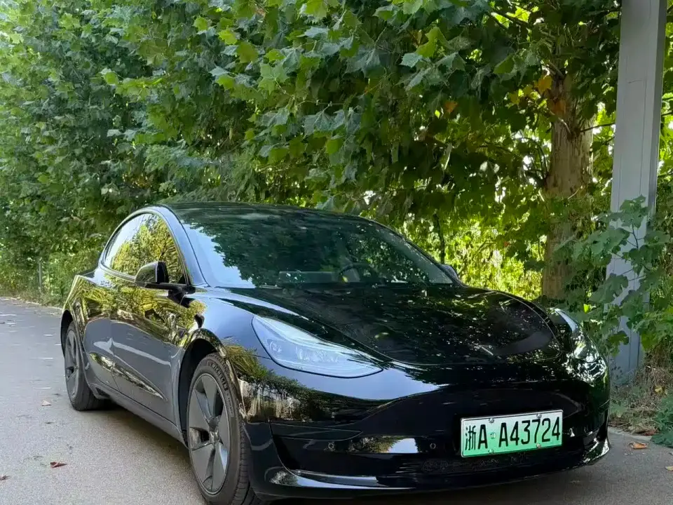 Tesla Model 3 Model Rear-Wheel Drive Version 2023