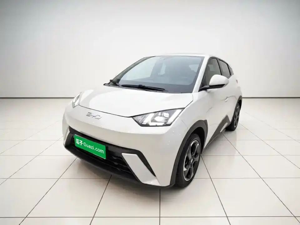 BYD Seagull 405km Soaring 2025