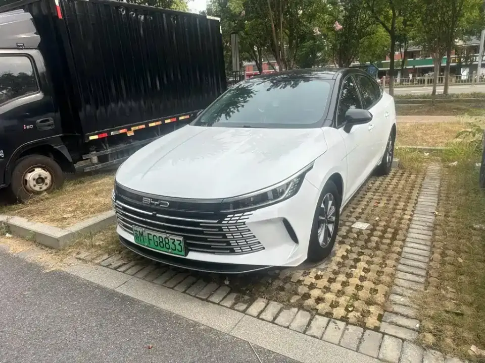 BYD Destroyer 05 Glory Edition DM-i 55KM Luxury 2024