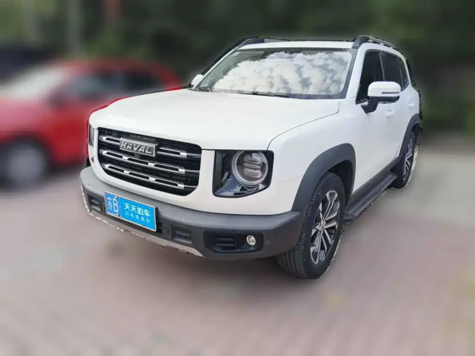 Haval Big Dog 1.5T DCT 2WD Border Collie - Wangcai Edition 2021