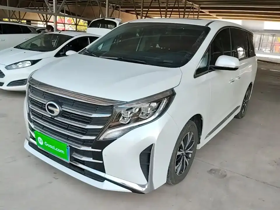 GAC Trumpchi M8 Leadershow Series 390T Luxury Edition 2025