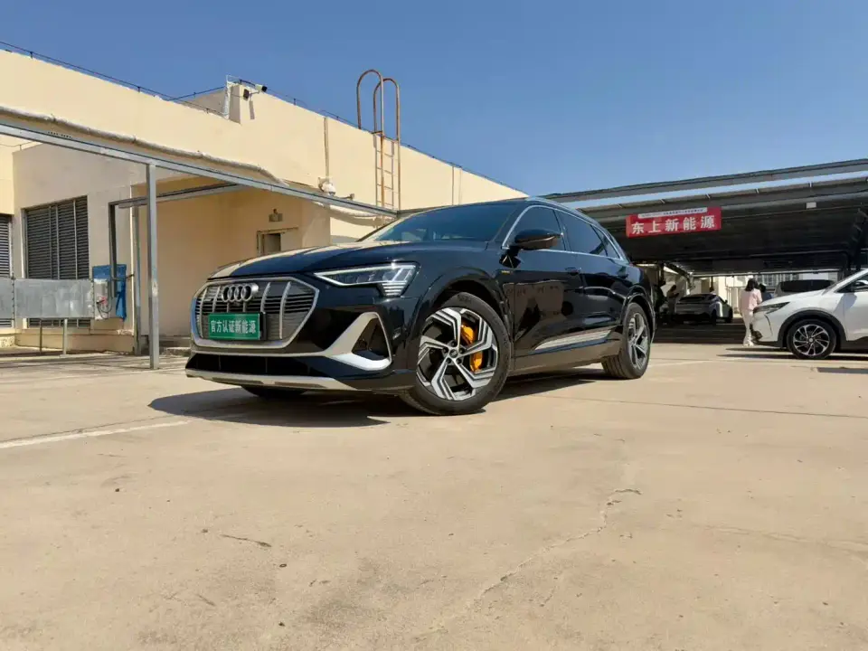 Audi e-tron 50 quattro Exclusive Selection 2024
