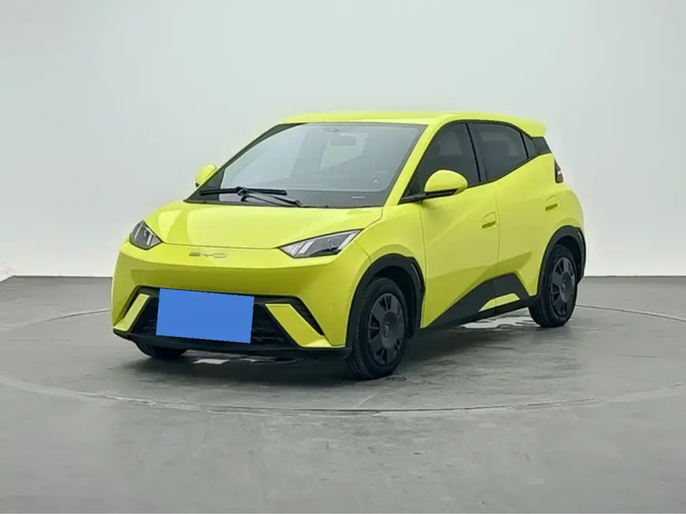 BYD Seagull Glory Edition 305km Vitality Edition 2024