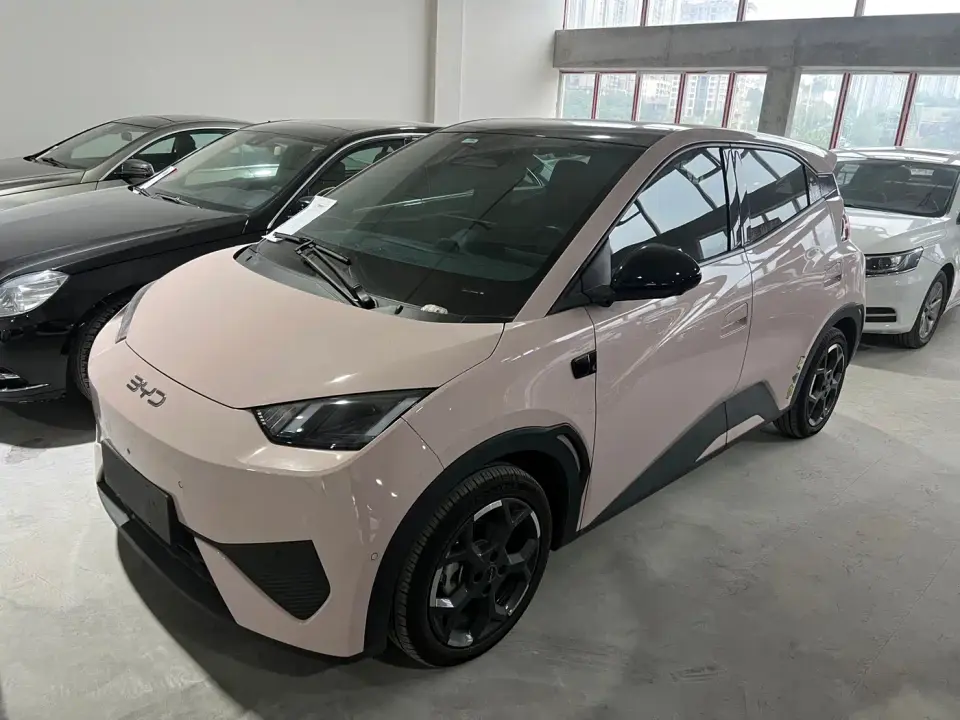 BYD Seagull Smart Drive Edition 305km Freedom Version 2025