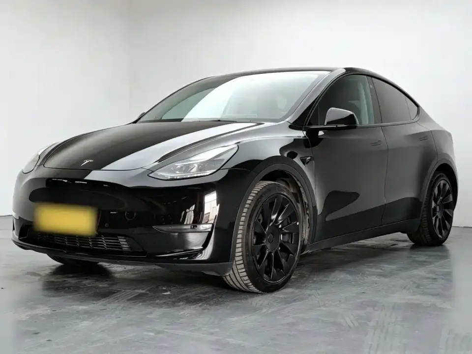 Tesla Model Y Model Long Range AWD 2021
