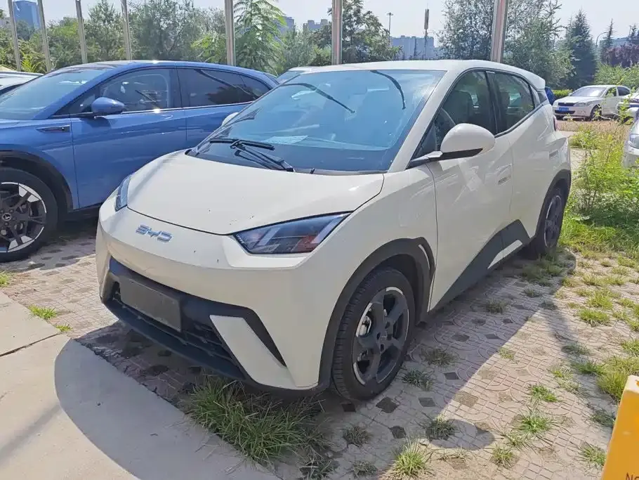 BYD Seagull Flying Edition 2024