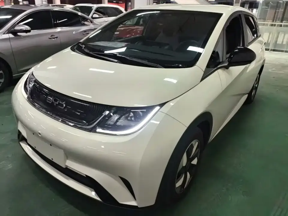 BYD Dolphin Glory Edition 420km Freedom Edition 2024