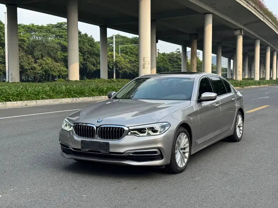 BMW 5 Series 530Li Premium Luxury Package 2020
