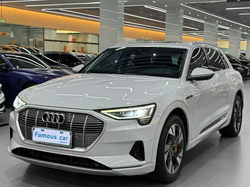 Audi e-tron (Import) 55 quattro Technology 2021