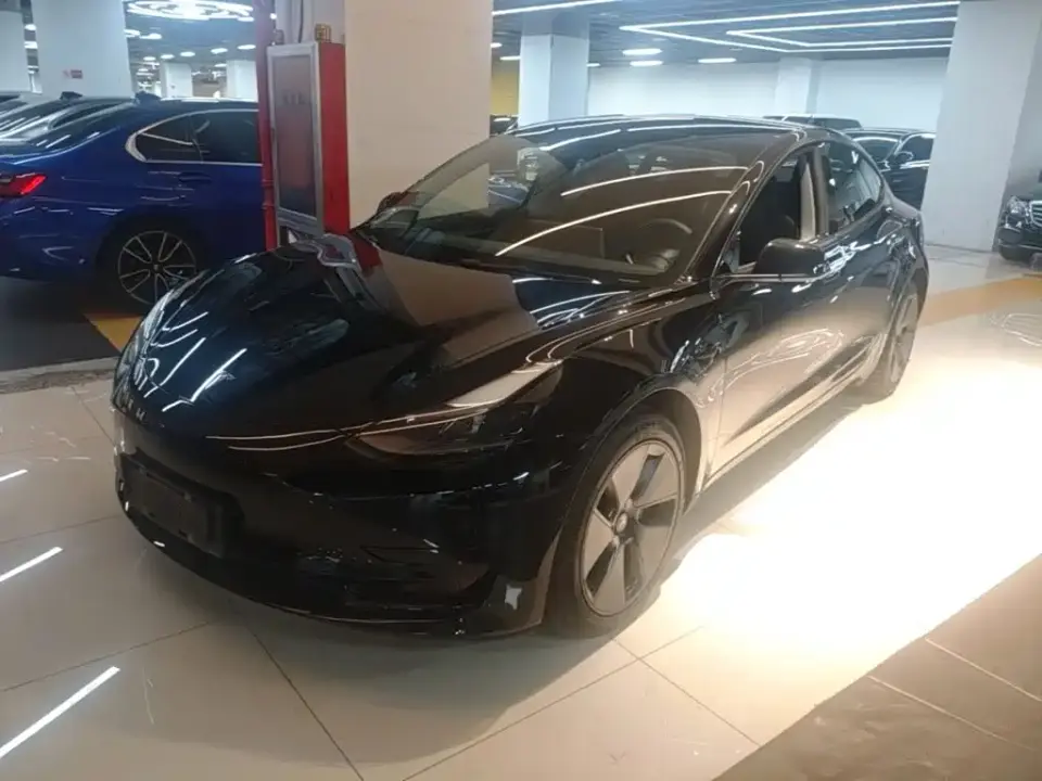 Tesla Model 3 Standard Range Rear-Wheel Drive Upgrade 3D6 2021